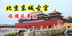 操骚逼直播视频中国北京-东城古宫旅游风景区